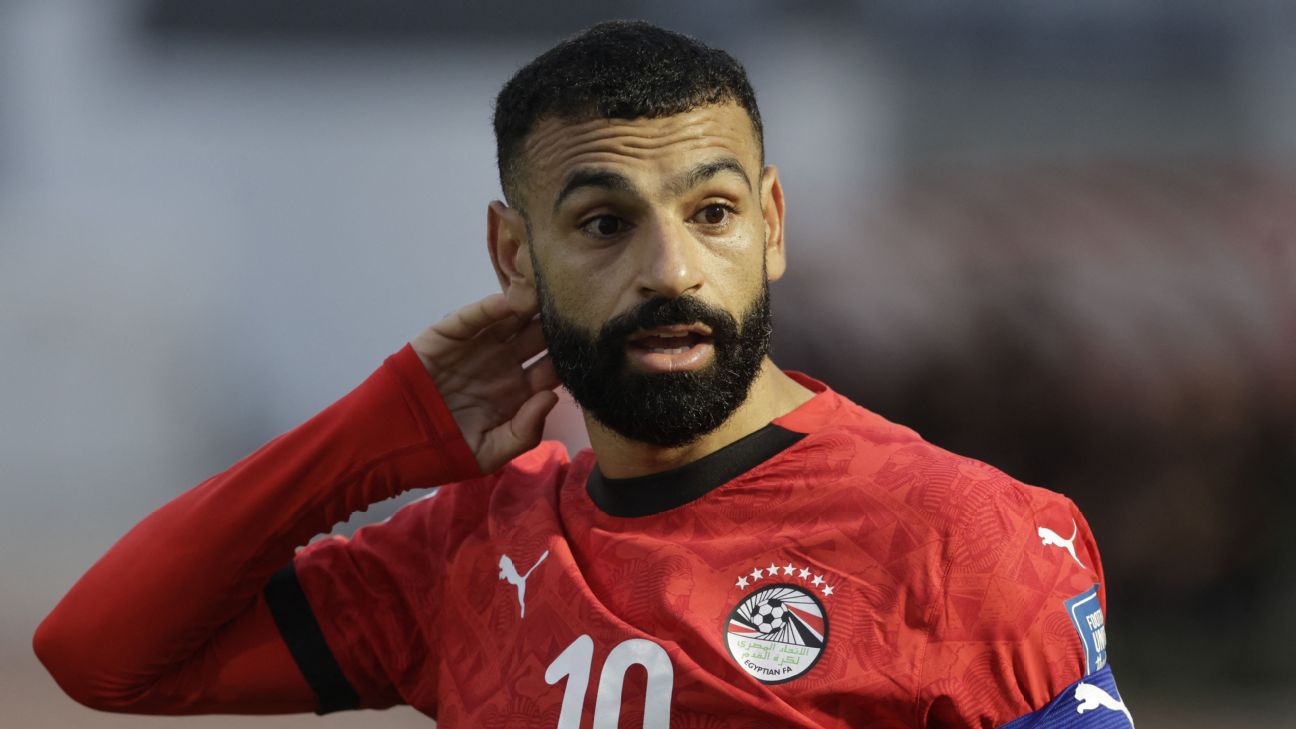 FIFA要求埃及队移除世界杯球衣七颗星 标识已调整